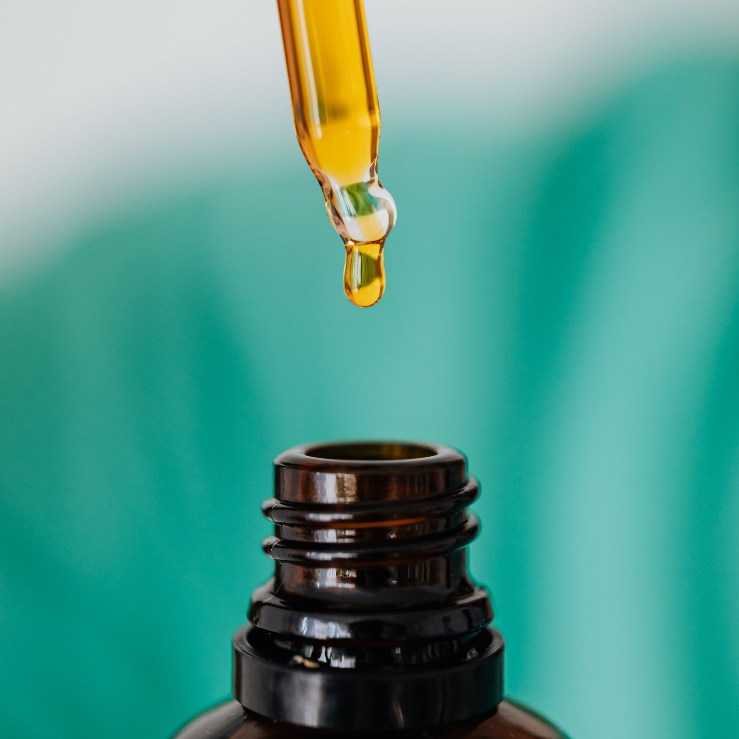 pexels-karolina-grabowska-4021770_1x1